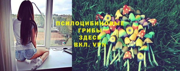 ALPHA PVP Волосово