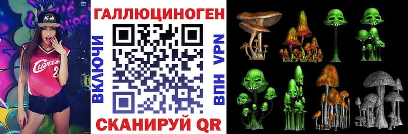 Галлюциногенные грибы GOLDEN TEACHER  Дятьково 
